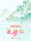 你已来到惊悚试炼